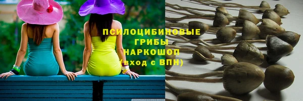 шишки Покровск