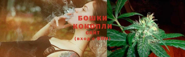 шишки Покровск