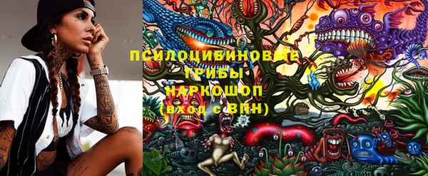 шишки Покровск