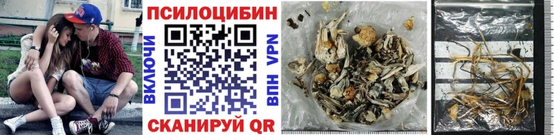Псилоцибиновые грибы Psilocybe  даркнет сайт  Тайга 